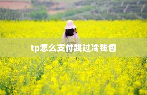 tp怎么支付跳过冷钱包