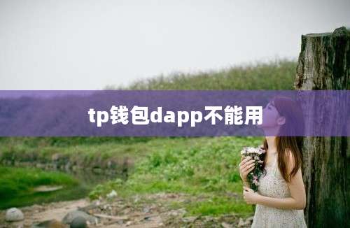 tp钱包dapp不能用