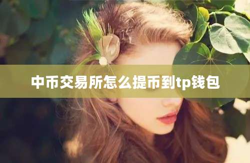 中币交易所怎么提币到tp钱包