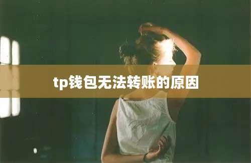 tp钱包无法转账的原因