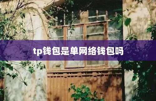 tp钱包是单网络钱包吗