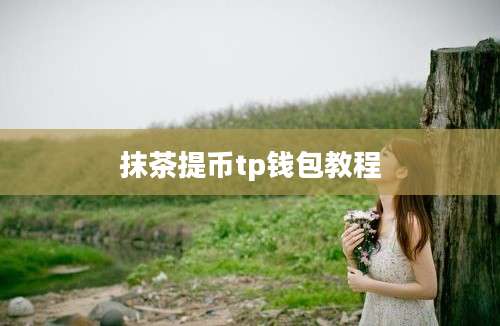 抹茶提币tp钱包教程