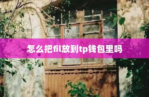 怎么把fil放到tp钱包里吗