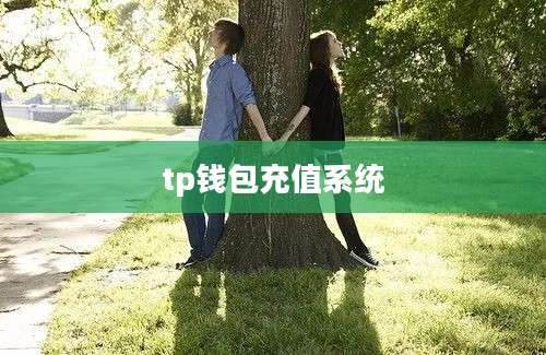 tp钱包充值系统