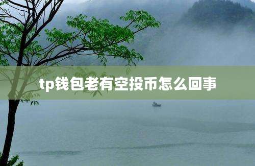 tp钱包老有空投币怎么回事