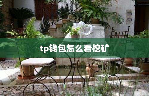 tp钱包怎么看挖矿