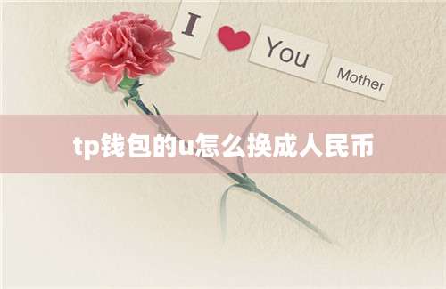 tp钱包的u怎么换成人民币