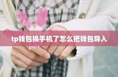 tp钱包换手机了怎么把钱包导入