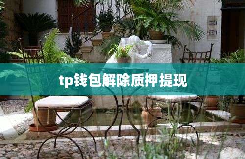 tp钱包解除质押提现