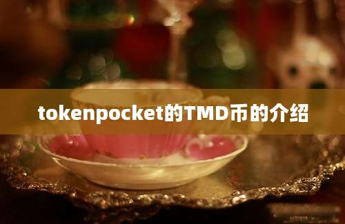 tokenpocket的TMD币的介绍