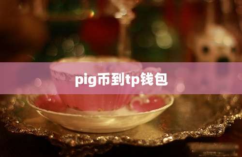 pig币到tp钱包