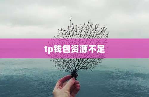 tp钱包资源不足