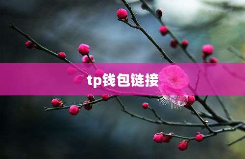 tp钱包链接