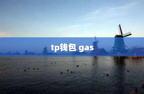 tp钱包 gas