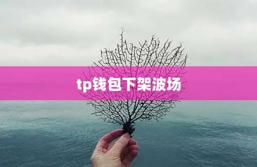 tp钱包下架波场