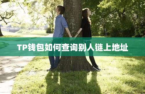 TP钱包如何查询别人链上地址
