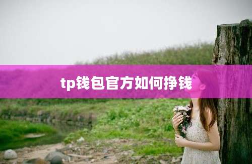 tp钱包官方如何挣钱