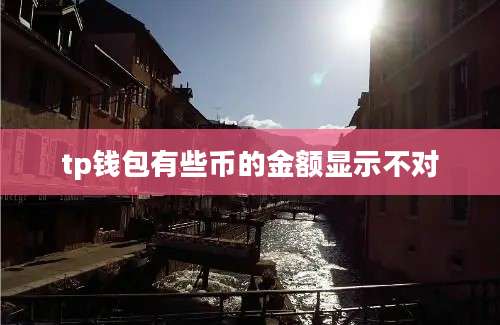tp钱包有些币的金额显示不对