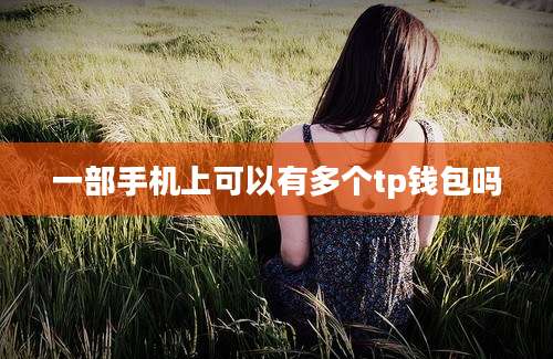 一部手机上可以有多个tp钱包吗