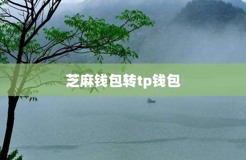 芝麻钱包转tp钱包