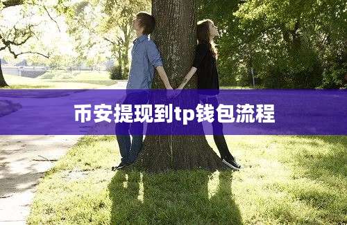币安提现到tp钱包流程