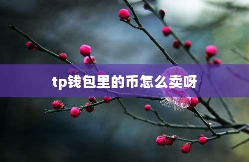 tp钱包里的币怎么卖呀