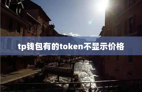 tp钱包有的token不显示价格