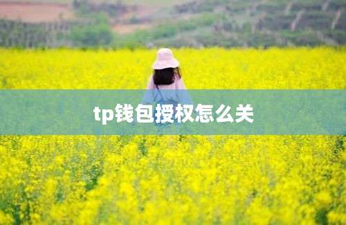 tp钱包授权怎么关