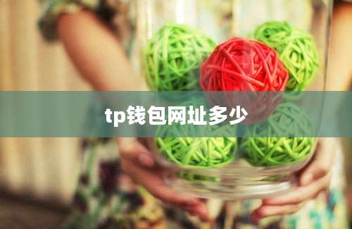 tp钱包网址多少