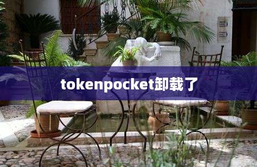 tokenpocket卸载了