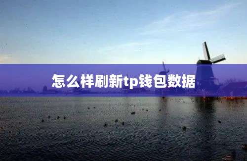 怎么样刷新tp钱包数据