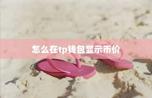 怎么在tp钱包显示币价