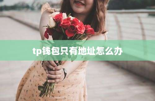 tp钱包只有地址怎么办