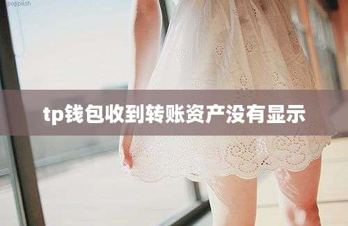 tp钱包收到转账资产没有显示