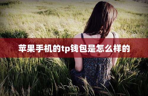 苹果手机的tp钱包是怎么样的