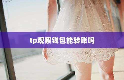 tp观察钱包能转账吗