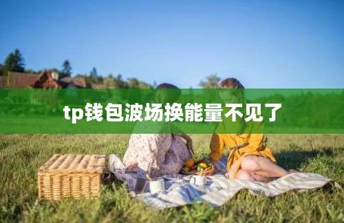 tp钱包波场换能量不见了