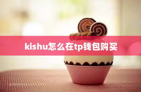 kishu怎么在tp钱包购买