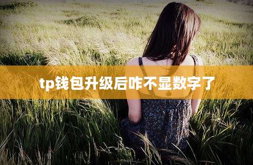 tp钱包升级后咋不显数字了