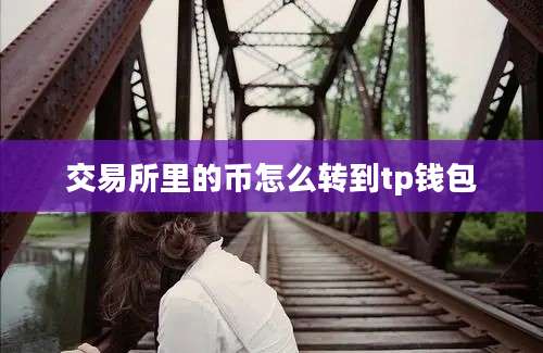 交易所里的币怎么转到tp钱包