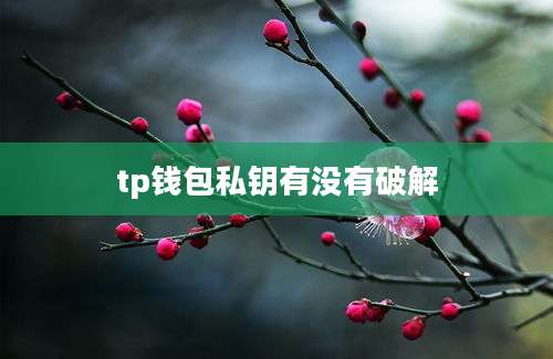 tp钱包私钥有没有破解
