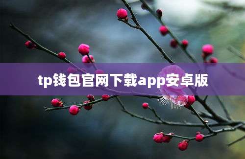 tp钱包官网下载app安卓版