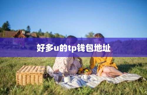 好多u的tp钱包地址