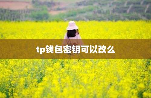 tp钱包密钥可以改么