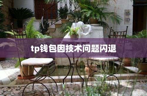 tp钱包因技术问题闪退