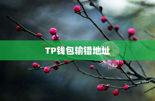 TP钱包输错地址