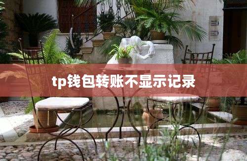 tp钱包转账不显示记录