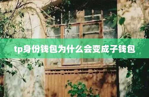 tp身份钱包为什么会变成子钱包