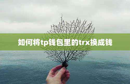 如何将tp钱包里的trx换成钱