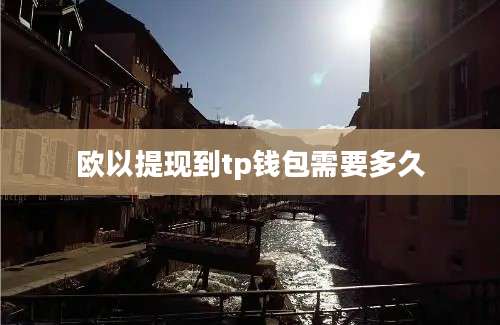 欧以提现到tp钱包需要多久